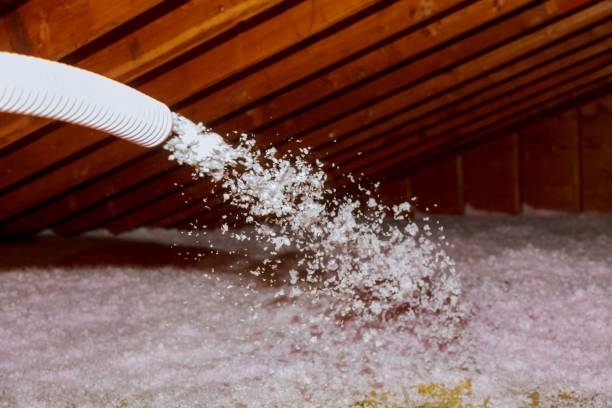 Best Insulation Installation Services in Leadwood, MO